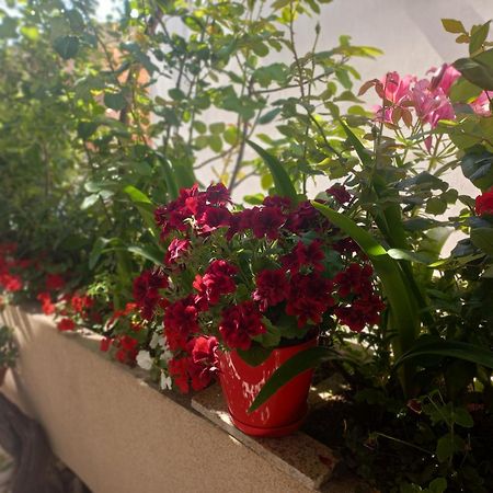 Apartments Gazi ウルツィニ エクステリア 写真